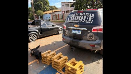 V&iacute;deo: Com ajuda de c&atilde;o farejador, pol&iacute;cia apreende 46 kg de maconha em transportadora