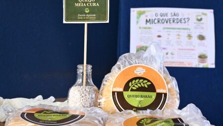 Festa do queijo acontece em maio