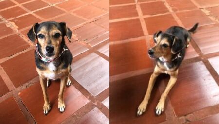 Milly
