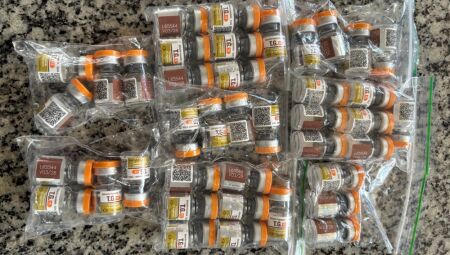 Canetas seriam levadas para o Mato Grosso
