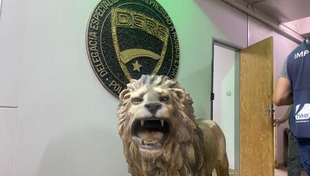 Le&atilde;o foi localizado no Aero Rancho