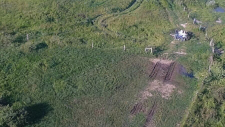 Empresa agropecu&aacute;ria &eacute; alvo de investiga&ccedil;&atilde;o por desmate ilegal no Pantanal