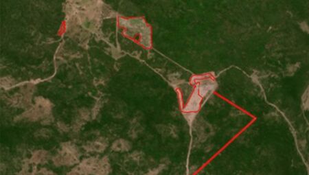 MP firma TAC ap&oacute;s desmatamento ilegal de quase 100 hectares no Pantanal