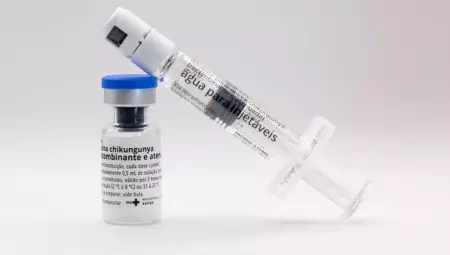 Butantan vai produzir vacina nacional contra chikungunya