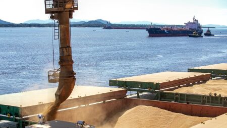 Exporta&ccedil;&otilde;es cresceram no MS