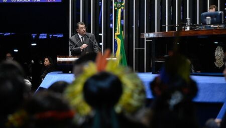 Lideran&ccedil;as ind&iacute;genas participaram da sess&atilde;o   