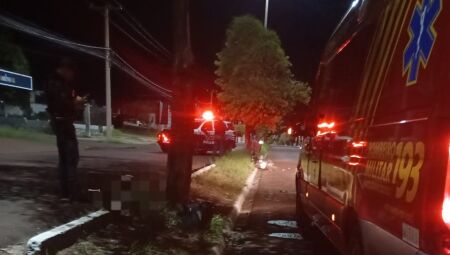 V&iacute;tima n&atilde;o resistiu ap&oacute;s colidir contra a &aacute;rvore