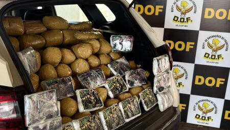 Drogas apreendidas no carro pelo DOF