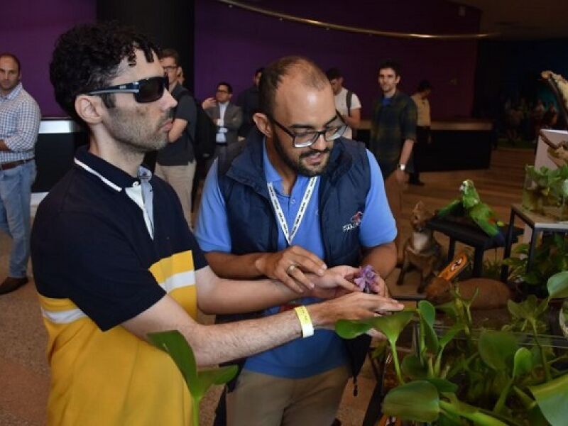 Novo Espaço Do Bioparque Permite Que Deficientes Visuais Toquem Em Novo Espaço Do Bioparque Permite Que Deficientes Visuais Toquem Em