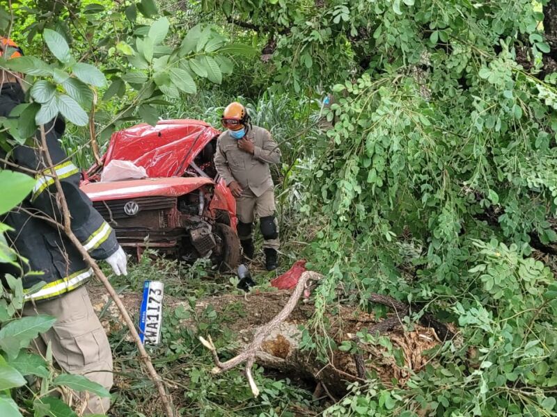 Oficial Da Marinha Morre Após Carro Sair Da Pista E Bater Em árvore Na