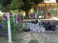 Foi providenciada pelo IASB a distribuição de 120 cestas básicas ofertadas pelo Instituto SOS Pantanal, Grupo Mil pelo Planeta e Yoga pelo Pantanal