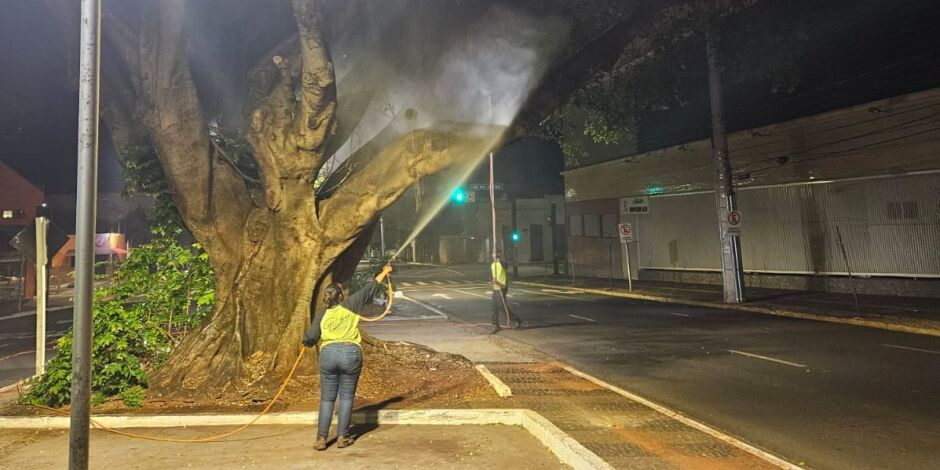 Foto: Prefeitura de Campo Grande
