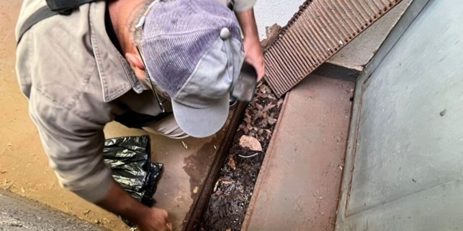 Casos de dengue seguem praticamente est&aacute;veis