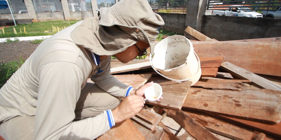 Mesmo com a queda expressiva nas notificações, especialistas lembram que o controle do mosquito segue essencial