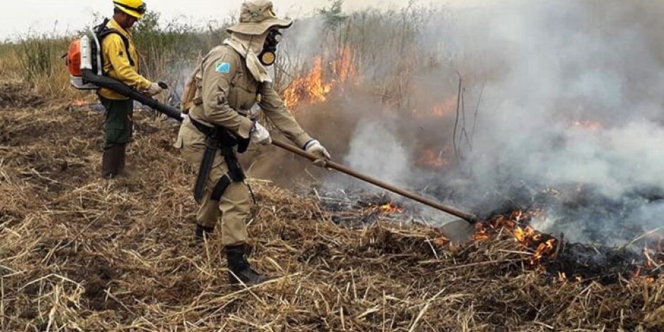 As &aacute;reas protegidas tamb&eacute;m registraram queda expressiva de &aacute;rea queimada.