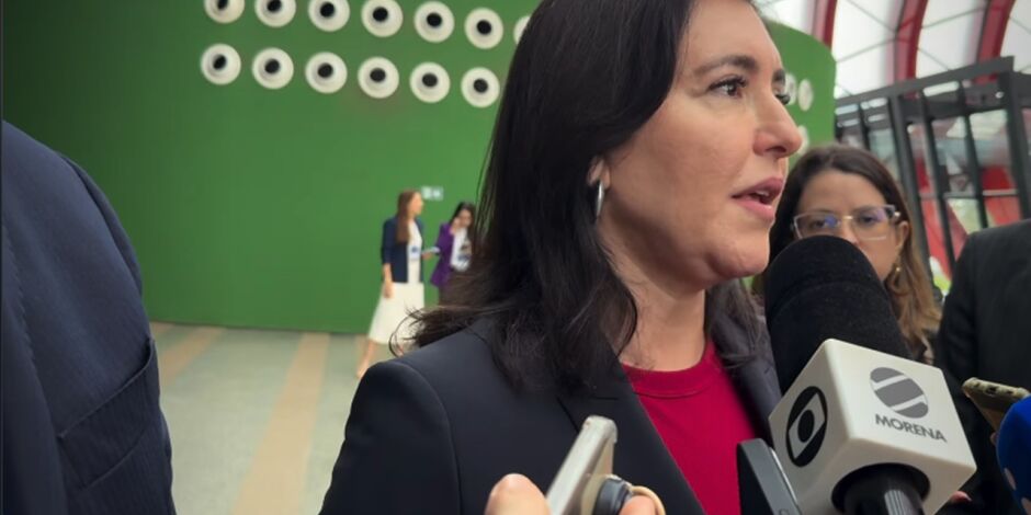 Ministra do Planejamento e Or&ccedil;amento, Simone Tebet