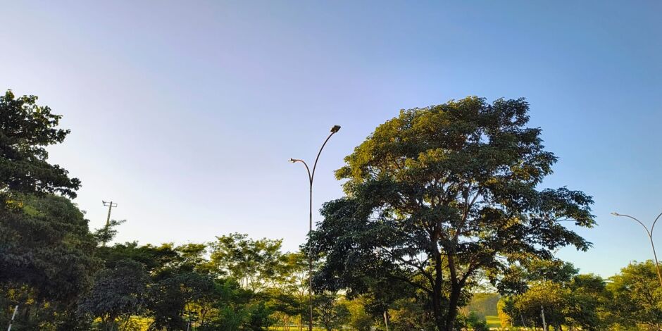 Sol brilhando e c&eacute;u azul