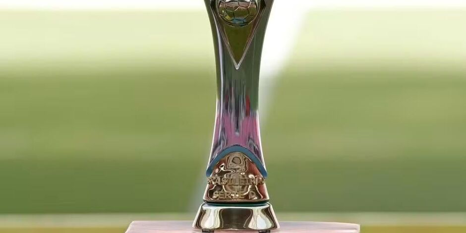 Ta&ccedil;a da S&eacute;rie D do Brasileir&atilde;o