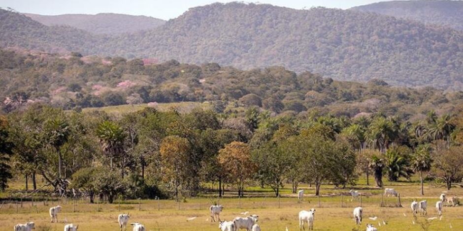 Foto: Reprodu&ccedil;&atilde;o