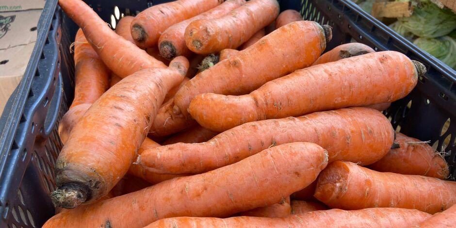 Pre&ccedil;o da cenoura disparou no atacado