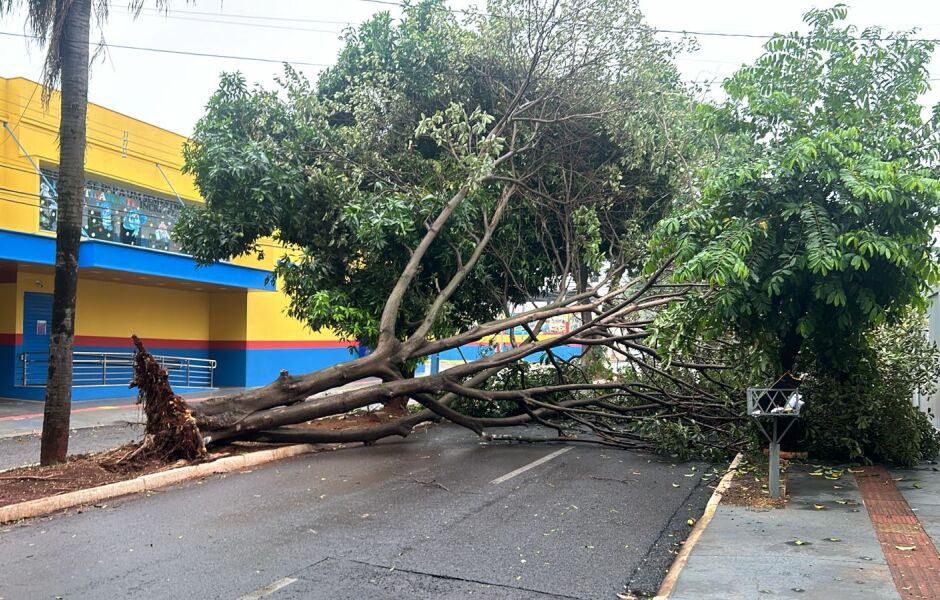 Av. Madri, esquina com Av. General Nepomuceno Costa, Vila Alba