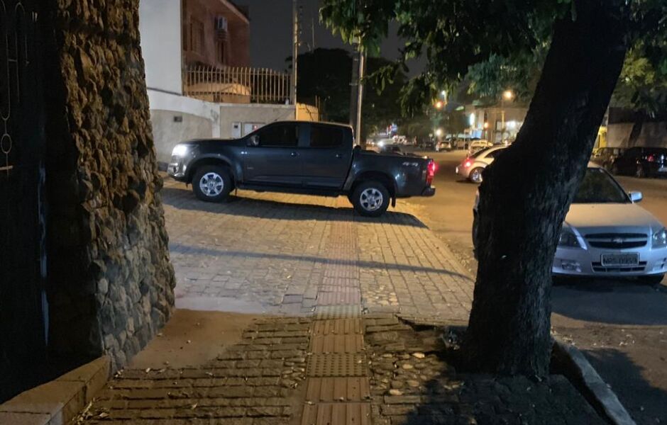 Árvore que caiu tem em torno de 10 metros