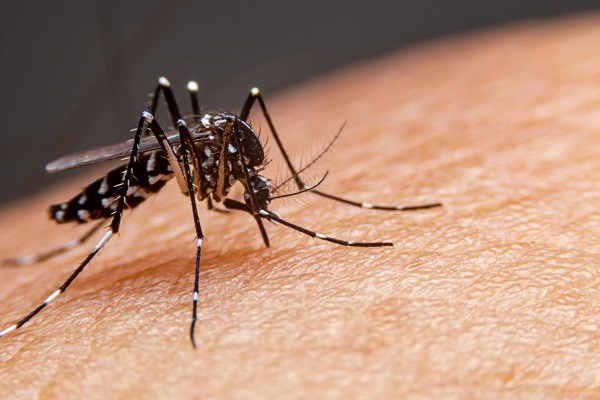 Em uma semana, MS registra aumento nos casos confirmados de dengue