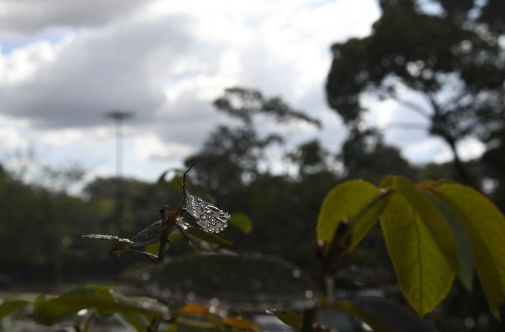 Tempo inst&aacute;vel e chance de chuva marcam a quarta-feira em Mato Grosso do Sul