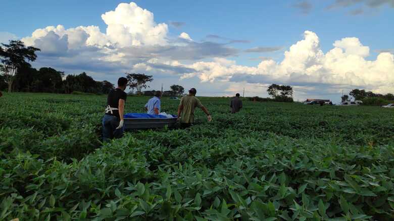 Aparentemente não há sinais de violência, o que indica se tratar de morte por causas naturais