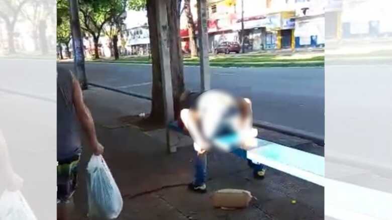 Eles não se importaram de ser observados enquanto realizavam o ato em plena luz do dia