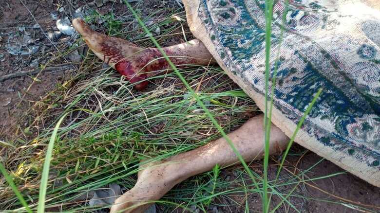 Corpo encontrado as margens da BR-262