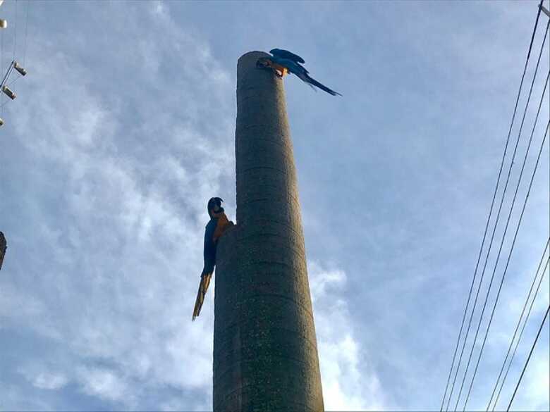 Na capital, a m&aacute;xima deve ser de 21&deg;C