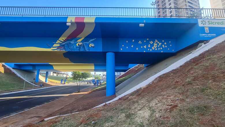 A obra de arte do Projeto Cores e Vias Reviva Mais Campo Grande &eacute; assinada pelo artista Ton Barbosa