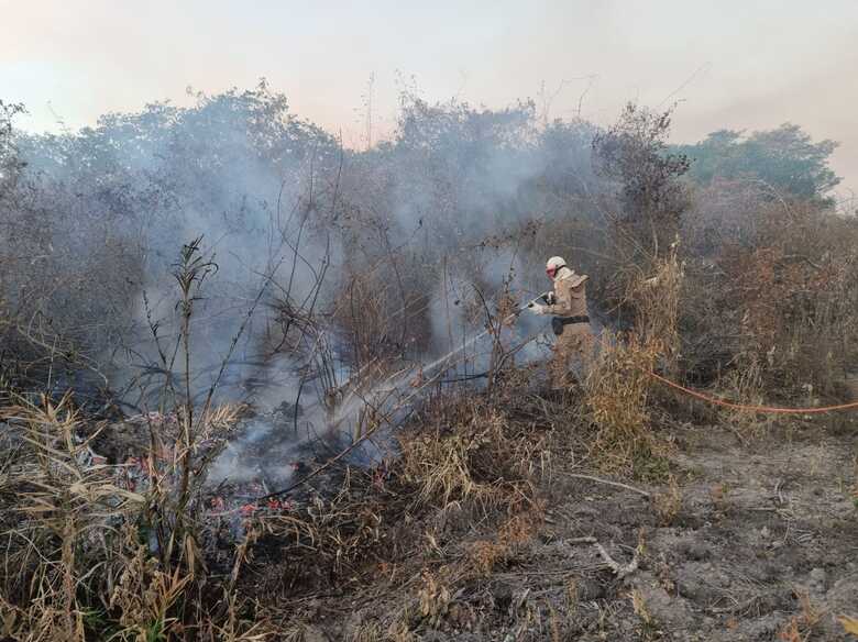 Opera&ccedil;&atilde;o visa proteger o bioma