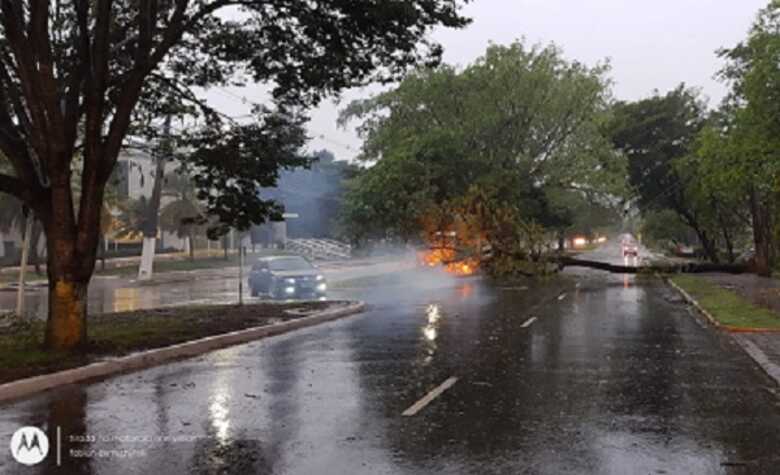 Queda de árvore causou curto-circuito na rua a Rua Desembargador Leão Neto do Carmo