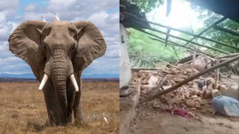 Local ficou parcialmente destruído 