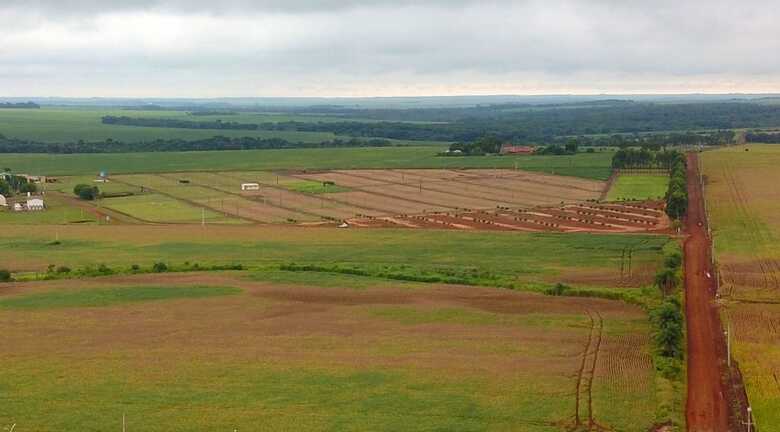 Maracaju é o primeiro no ranking estadual da agropecuária 