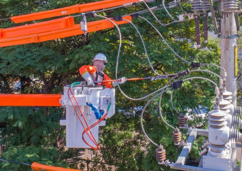 Poda preventiva realizada pela Energisa 