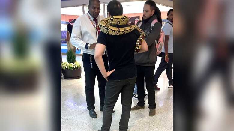 Homem tentou passear com o animal silvestre