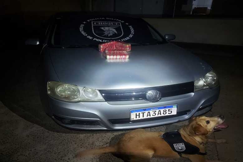 Drogas foram encontradas com apoio do cão farejador Maradona