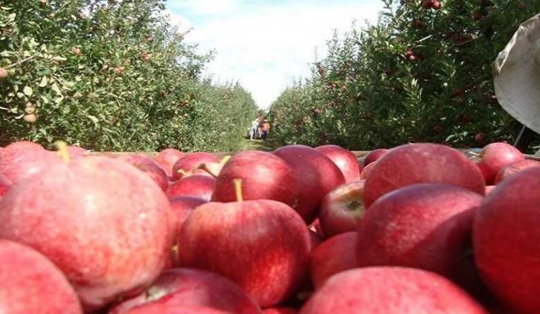 Para garantir uma vaga basta comparecer a Funtrab de Aquidauana