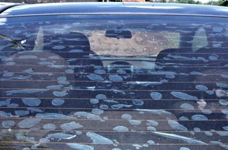 Quem desrespeitar as novas regras recebe multa no valor de R$ 195,23 e cinco pontos