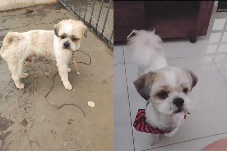 Tuco est&aacute; com uma gravata semelhante a da foto