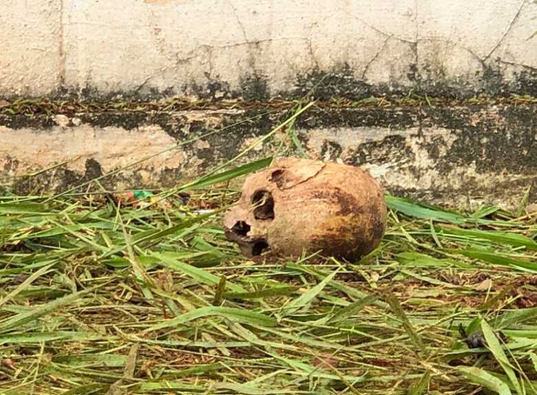 O achado se trata de um crânio que estava no meio do lixo do terreno