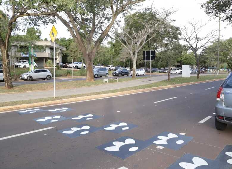 Faixa no asfalto sinaliza travessia de animais na região