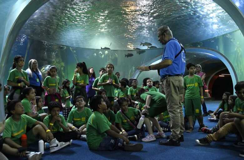 A reserva deve ser feita pela instituição de ensino