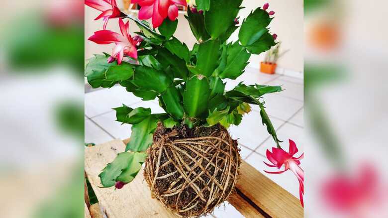 Funtrab/Divulga&ccedil;&atilde;o