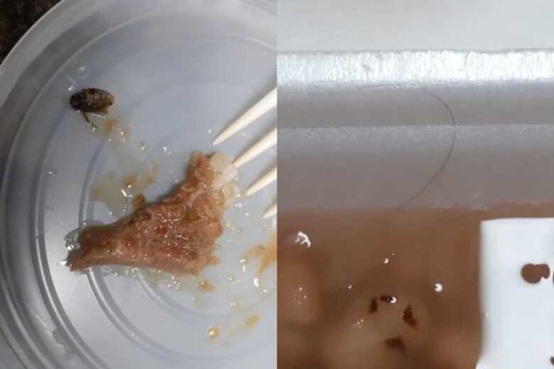 Imagens enviadas ao JD1 Notícias mostram casos em que uma mosca e um fio de cabelo foram encontrados na comida