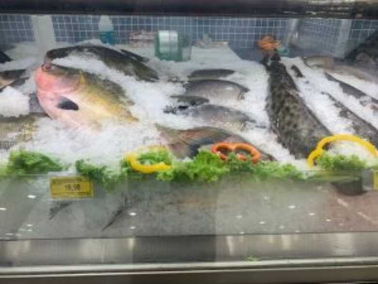 Peixes expostos para venda no comércio
