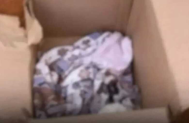 Morador escuta barulho no port&atilde;o e encontra beb&ecirc; abandonado